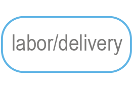Labor Delivery